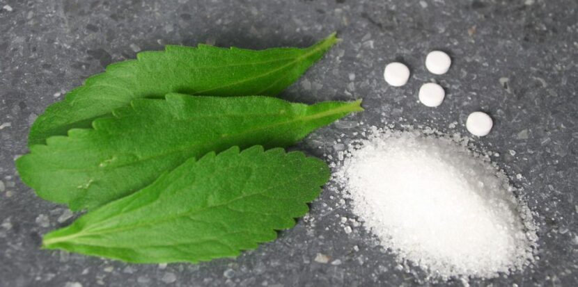 Stevia Leaves