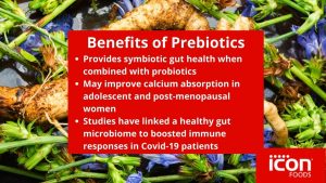 Benefits of Prebiotics