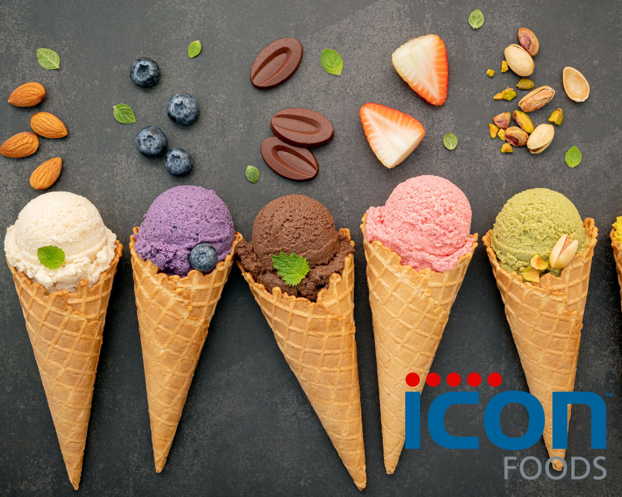Icon foods shares r d insights on plant based dairy alternatives with
