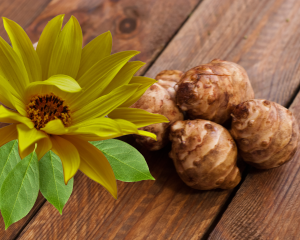 Icon Foods PreBiotica Jerusalem artichoke