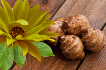 Icon Foods PreBiotica Jerusalem artichoke