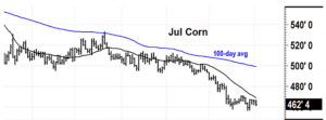 Icon Foods Corn