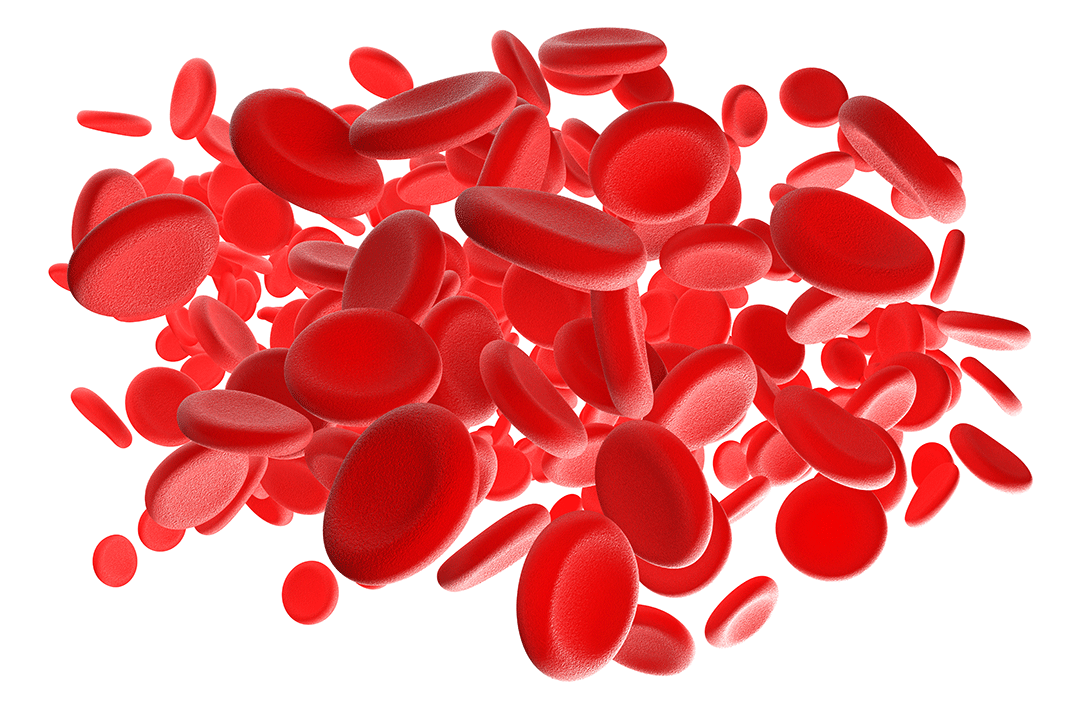 GLP-1 receptor agonists induce loss of lean mass: so does caloric ...