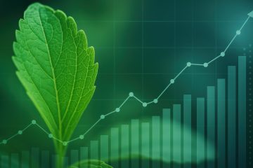 Market Intelligence Report Sweeteners Q3 2025