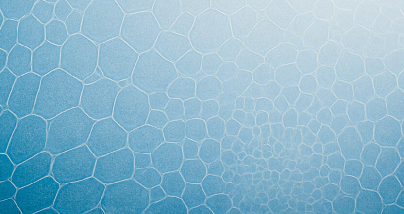 Icon Foods Microscopic view of plant cells