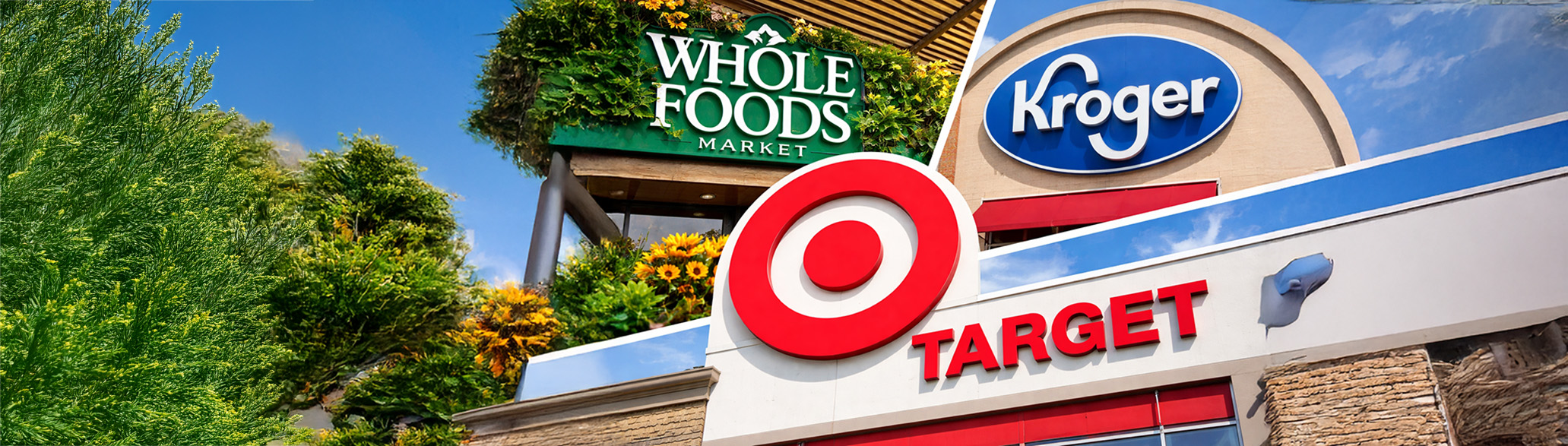 Target’s Rise as a Leader in “Better-for-You” Products - Icon Foods