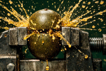 Monk Fruit in a Vise