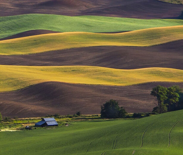 Palouse