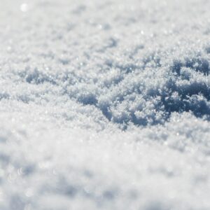 MLT1100™ NF Grade Maltitol Powder: Sugar’s Overachieving Cousin with a Lab Degree