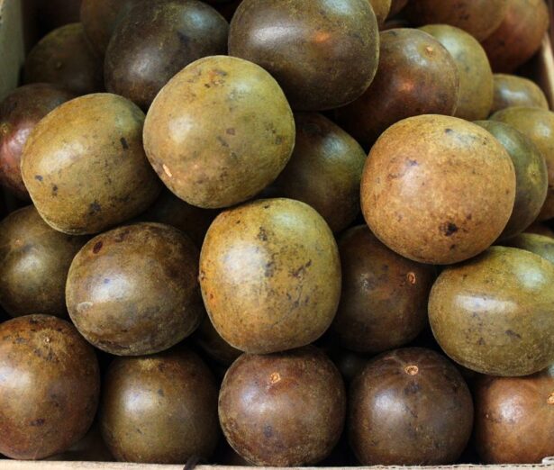 Monkfruit-blog-1024x683