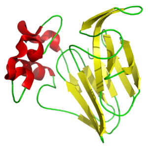Thaumatiq™ T10: The 10-PPM Sensory Lever – How a Sweet Protein Can Change the Architecture of Sweetness Without Taking Over the Formula
