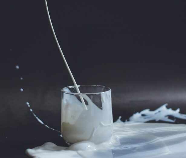 anita-jankovic-8ItUpip_h14-unsplash