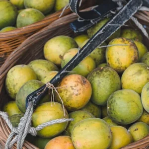 A Formulator’s Field Guide to MonkSweet™ Monk Fruit Systems
